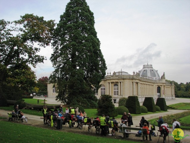 randonnée sportive avec joëlettes, Tervuren, 2012